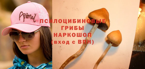 твердый Армянск
