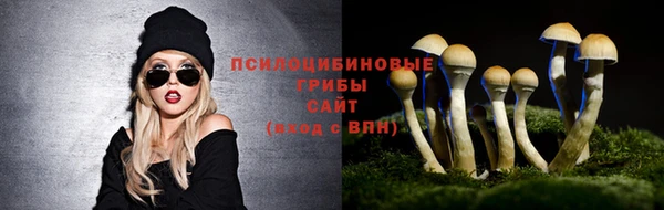 мяу мяу мука Арсеньев