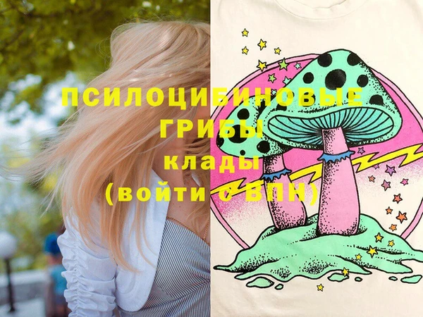 индика Аша