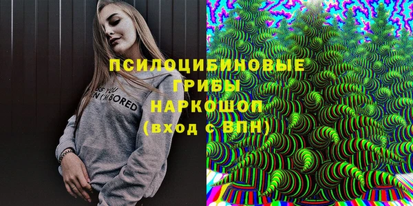 твердый Армянск