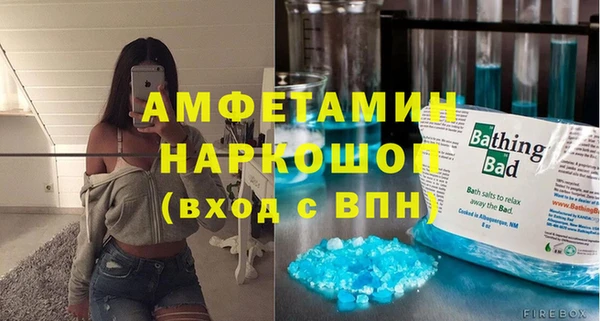 индика Аша